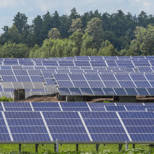 Polycrystalline Solar Panel